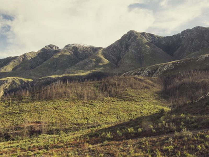 De Companjie Bed and Breakfast Swellendam Εξωτερικό φωτογραφία
